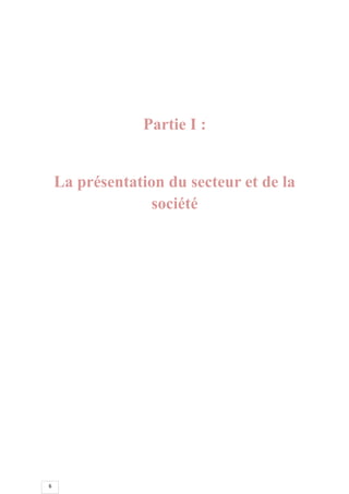 6
Partie I :
La présentation du secteur et de la
société
 