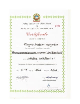 Environmental Impact Assessment Certificate
