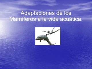 Adaptaciones de los Mamíferos a la vida acuática. 