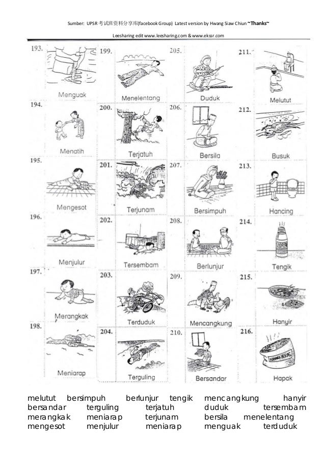 Kata Kerja Bergambar Dengan Jawapan  malakowes
