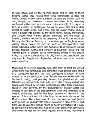 of juicy larvæ, and on the ripening fruits; and as soon as these
become scarce they retrace their steps homewards to pass the
winter. Others whose home is nearer the pole are driven south by
cold, hunger, and darkness, to more hospitable climes, returning
northward in the early summer. As a typical example of a migratory
bird, let us take the nightingale. During the winter this bird inhabits
almost all North Africa, Asia Minor, and the Jordan Valley. Early in
April it passes into Europe by the three routes already mentioned,
and spreads over France, Britain, Denmark, and the south of
Sweden, which it reaches by the beginning of May. It does not enter
Brittany, the Channel Islands, or the western part of England, never
visiting Wales, except the extreme south of Glamorganshire, and
rarely extending farther north than Yorkshire. It spreads over Central
Europe, through Austria and Hungary to Southern Russia and the
warmer parts of Siberia, but it nevertheless breeds in the Jordan
Valley, so that in some places it is only the surplus population that
migrates. In August and September, all who can return to their
winter quarters.
Migrations of this type probably date back from at least the period
when there was continuous land along the route passed over; and it
is a suggestive fact that this land connection is known to have
existed in recent geological times. Britain was connected with the
Continent during, and probably before, the glacial epoch; and
Gibraltar, as well as Sicily and Malta, were also recently united with
Africa, as is proved by the fossil elephants and other large mammalia
found in their caverns, by the comparatively shallow water still
existing in this part of the Mediterranean while the remainder is of
oceanic profundity, and by the large amount of identity in the
species of land animals still inhabiting the opposite shores of the
Mediterranean. The submersion of these two tracts of land (which
were perhaps of considerable extent) would be a slow process, and
from year to year the change might be hardly perceptible. It is easy
to see how the migration that had once taken place over continuous
land would be kept up, first over lagoons and marshes, then over a
 