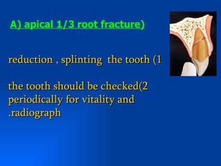 A( apical 1/3 root fracture(


reduction , splinting the tooth (1

the tooth should be checked(2
periodically for vitality and
.radiograph
 