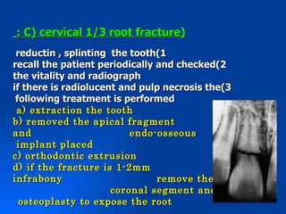 : C( cervical 1/3 root fracture(
 reductin , splinting the tooth(1
recall the patient periodically and checked(2
the vitality and radiograph
if there is radiolucent and pulp necrosis the(3
 following treatment is performed
 a( extraction the tooth
b( removed the apical fragment
and                       endo-osseous
 implant placed
c( orthodontic extrusion
d( if the fracture is 1-2mm
infrabony                       remove the
                      coronal segment and
  osteoplasty to expose the root
 