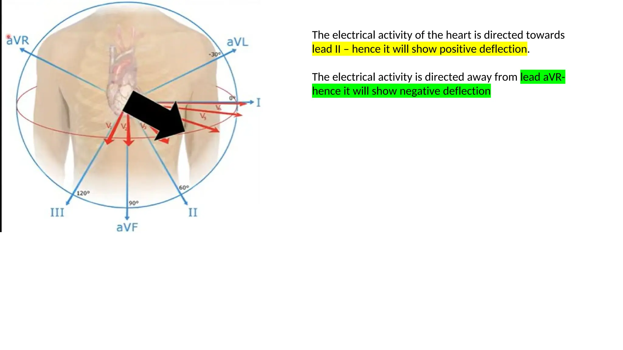 ECG_ Electrocardiograph PPT Presentation | PDF