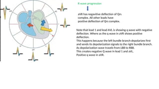 ECG_ Electrocardiograph PPT Presentation | PDF