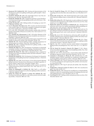 11. Hunnicutt DW, McBride MJ. 2000. Cloning and characterization of the
Flavobacterium johnsoniae gliding motility genes, gldB and gldC. J. Bacte-
riol. 182:911–918.
12. Jarrell KF, McBride MJ. 2008. The surprisingly diverse ways that pro-
karyotes move. Nat. Rev. Microbiol. 6:466–476.
13. Kempf MJ, McBride MJ. 2000. Transposon insertions in the Flavobacte-
rium johnsoniae ftsX gene disrupt gliding motility and cell division. J. Bac-
teriol. 182:1671–1679.
14. Lapidus IR, Berg HC. 1982. Gliding motility of Cytophaga sp. strain U67.
J. Bacteriol. 151:384–398.
15. Li L-Y, Shoemaker NB, Salyers AA. 1995. Location and characterization
of the transfer region of a Bacteroides conjugative transposon and regula-
tion of the transfer genes. J. Bacteriol. 177:4992–4999.
16. Li Y, et al. 2003. Extracellular polysaccharides mediate pilus retraction
during social motility of Myxococcus xanthus. Proc. Natl. Acad. Sci. U. S. A.
100:5443–5448.
17. Liu J, McBride MJ, Subramaniam S. 2007. Cell-surface ﬁlaments of the
gliding bacterium Flavobacterium johnsoniae revealed by cryo-electron to-
mography. J. Bacteriol. 189:7503–7506.
18. Lu A, et al. 2005. Exopolysaccharide biosynthesis genes required for social
motility in Myxococcus xanthus. Mol. Microbiol. 55:206–220.
19. McBride MJ. 2001. Bacterial gliding motility: multiple mechanisms for
cell movement over surfaces. Annu. Rev. Microbiol. 55:49–75.
20. McBride MJ. 2004. Cytophaga-Flavobacterium gliding motility. J. Mol.
Microbiol. Biotechnol. 7:63–71.
21. McBride MJ, Baker SA. 1996. Development of techniques to genetically
manipulate members of the genera Cytophaga, Flavobacterium, Flexibac-
ter, and Sporocytophaga. Appl. Environ. Microbiol. 62:3017–3022.
22. McBride MJ, Braun TF. 2004. GldI is a lipoprotein that is required for
Flavobacterium johnsoniae gliding motility and chitin utilization. J. Bacte-
riol. 186:2295–2302.
23. McBride MJ, Kempf MJ. 1996. Development of techniques for the genetic
manipulation of the gliding bacterium Cytophaga johnsonae. J. Bacteriol.
178:583–590.
24. McBride MJ, et al. 2009. Novel features of the polysaccharide-digesting
gliding bacterium Flavobacterium johnsoniae as revealed by genome se-
quence analysis. Appl. Environ. Microbiol. 75:6864–6875.
25. Nan B, et al. 2011. Myxobacteria gliding motility requires cytoskeleton
rotation powered by proton motive force. Proc. Natl. Acad. Sci. U. S. A.
108:2498–2503.
26. Nelson SS, Bollampalli S, McBride MJ. 2008. SprB is a cell surface
component of the Flavobacterium johnsoniae gliding motility machinery.
J. Bacteriol. 190:2851–2857.
27. Nelson SS, Glocka PP, Agarwal S, Grimm DP, McBride MJ. 2007.
Flavobacterium johnsoniae SprA is a cell-surface protein involved in glid-
ing motility. J. Bacteriol. 189:7145–7150.
28. Pate JL, Petzold SJ, Chang L-YE. 1979. Phages for the gliding bacterium
Cytophaga johnsonae that infect only motile cells. Curr. Microbiol. 2:257–
262.
29. Raskin DM, de Boer PA. 1999. MinDE-dependent pole-to-pole oscilla-
tion of division inhibitor MinC in Escherichia coli. J. Bacteriol. 181:6419–
6424.
30. Raskin DM, de Boer PA. 1999. Rapid pole-to-pole oscillation of a protein
required for directing division to the middle of Escherichia coli. Proc. Natl.
Acad. Sci. U. S. A. 96:4971–4976.
31. Rhodes RG, Nelson SS, Pochiraju S, McBride MJ. 2011. Flavobacterium
johnsoniae sprB is part of an operon spanning the additional gliding mo-
tility genes sprC, sprD, and sprF. J. Bacteriol. 193:599–610.
32. Rhodes RG, Pucker HG, McBride MJ. 2011. Development and use of a
gene deletion strategy for Flavobacterium johnsoniae to identify the redun-
dant motility genes remF, remG, remH, and remI. J. Bacteriol. 193:2418–
2428.
33. Rhodes RG, et al. 2010. Flavobacterium johnsoniae gldN and gldO are
partially redundant genes required for gliding motility and surface local-
ization of SprB. J. Bacteriol. 192:1201–1211.
34. Rhodes RG, Samarasam MN, Van Groll EJ, McBride MJ. 2011. Muta-
tions in Flavobacterium johnsoniae sprE result in defects in gliding motility
and protein secretion. J. Bacteriol. 193:5322–5327.
35. Sato K, et al. 2010. A protein secretion system linked to bacteroidete
gliding motility and pathogenesis. Proc. Natl. Acad. Sci. U. S. A. 107:276–
281.
36. Sun M, Wartel M, Cascales E, Shaevitz JW, Mignot T. 2011. Motor-
driven intracellular transport powers bacterial gliding motility. Proc. Natl.
Acad. Sci. U. S. A. 108:7559–7564.
37. Tateno H. 2010. SUEL-related lectins, a lectin family widely distributed
throughout organisms. Biosci. Biotechnol. Biochem. 74:1141–1144.
38. Uenoyama A, Kusumoto A, Miyata M. 2004. Identiﬁcation of a 349-
kilodalton protein (Gli349) responsible for cytadherence and glass bind-
ing during gliding of Mycoplasma mobile. J. Bacteriol. 186:1537–1545.
39. Vieria J, Messing J. 1982. The pUC plasmids, an M13mp7-derived system
for insertion mutagenesis and sequencing with synthetic universal prim-
ers. Gene 19:259–268.
40. Wall D, Kaiser D. 1999. Type IV pili and cell motility. Mol. Microbiol.
32:1–10.
41. Wolgemuth C, Hoiczyk E, Kaiser D, Oster G. 2002. How myxobacteria
glide. Curr. Biol. 12:369–377.
42. Wolkin RH, Pate JL. 1985. Selection for nonadherent or nonhydrophobic
mutants co-selects for nonspreading mutants of Cytophaga johnsonae and
other gliding bacteria. J. Gen. Microbiol. 131:737–750.
43. Yu R, Kaiser D. 2007. Gliding motility and polarized slime secretion. Mol.
Microbiol. 63:454–467.
Shrivastava et al.
3688 jb.asm.org Journal of Bacteriology
onAugust28,2015byguesthttp://jb.asm.org/Downloadedfrom
 