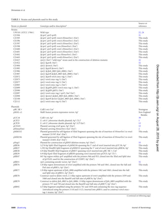 TABLE 1 Strains and plasmids used in this study
Strain or plasmid Genotype and/or descriptiona
Source or
reference
Strains
UW101 (ATCC 17061) Wild type 22, 24
CJ1584 ⌬(sprC sprD sprB) 31
CJ1595 ⌬(sprC sprD sprB) remA::HimarEm1; (Emr
) This study
CJ1596 ⌬(sprC sprD sprB) remA::HimarEm1; (Emr
) This study
CJ1597 ⌬(sprC sprD sprB) remA::HimarEm1; (Emr
) This study
CJ1598 ⌬(sprC sprD sprB) wza::HimarEm1; (Emr
) This study
CJ1600 ⌬(sprC sprD sprB) remC::HimarEm1; (Emr
) This study
CJ1601 ⌬(sprC sprD sprB) remA::HimarEm1; (Emr
) This study
CJ1602 ⌬(sprC sprD sprB) wzc::HimarEm1; (Emr
) This study
CJ1603 ⌬(sprC sprD sprB) remB::HimarEm1; (Emr
) This study
CJ1827 rpsL2; (Smr
) “wild-type” strain used in the construction of deletion mutants 32
CJ1922 rpsL2 ⌬sprB; (Smr
) 32
CJ1984 rpsL2 ⌬remA; (Smr
) This study
CJ1985 rpsL2 ⌬sprB ⌬remA; (Smr
) This study
CJ1986 rpsL2 ⌬(fjoh_0803-fjoh_0806); (Smr
) This study
CJ1987 rpsL2 ⌬sprB ⌬(fjoh_0803-fjoh_0806); (Smr
) This study
CJ2072 rpsL2 ⌬sprB remA::myc-tag-1; (Smr
) This study
CJ2073 rpsL2 remA::myc-tag-5; (Smr
) This study
CJ2077 rpsL2 remA::myc-tag-3; (Smr
) This study
CJ2083 rpsL2 remA::myc-tag-1; (Smr
) This study
CJ2089 rpsL2 ⌬(gldN gldO) remA::myc-tag-1; (Smr
) This study
CJ2090 rpsL2 ⌬(gldN gldO); (Smr
) This study
CJ2097 rpsL2 remA::myc-tag-1 sprF; (Smr
Emr
) This study
CJ2098 rpsL2 ⌬remA ⌬(fjoh_0803-fjoh_0806); (Smr
) This study
CJ2100 rpsL2 ⌬sprB ⌬remA ⌬(fjoh_0803-fjoh_0806); (Smr
) This study
CJ2112 rpsL2 remA::myc-tag-4; (Smr
) This study
Plasmids
pBC SKϩ ColE1 ori; Cmr
Stratagene
pMAL-c2 MalE fusion protein expression vector; Apr
New England
Biolabs
pUC18 ColE1 ori; Apr
39
pCP23 E. coli-F. johnsoniae shuttle plasmid; Apr
(Tc)r
1
pCP29 E. coli-F. johnsoniae shuttle plasmid; Apr
(Cfr
Emr
) 13
pLYL03 Plasmid carrying ermF gene; Apr
(Emr
) 15
pHimarEm1 Plasmid carrying HimarEm1; Kmr
(Emr
) 2
pMM332 Plasmid generated by self-ligation of XbaI fragment spanning the site of insertion of HimarEm1 in remA
mutant CJ1597; Kmr
(Emr
)
This study
pMM336 Plasmid generated by self-ligation of XbaI fragment spanning the site of insertion of HimarEm1 in remA
mutant CJ1601; Kmr
(Emr
)
This study
pNap3 Plasmid for construction of gldNO deletion strains; Apr
(Emr
) 33
pRR36 3,274-bp SphI-XbaI fragment of pMM336 spanning the 3= end of remA inserted into pUC18; Apr
This study
pRR37 1,592-bp HindIII-SphI fragment of pMM332 spanning the 5= end of remA inserted into pRR36; Apr
This study
pRR38 4.9-kbp HindIII-XbaI fragment of pRR37 spanning remA inserted into pBC SKϩ; Cmr
This study
pRR39 4.9-kbp KpnI-XbaI fragment of pRR38 spanning remA inserted into pCP23; Apr
(Tcr
) This study
pRR47 847-bp region within sprF ampliﬁed with the primers 946 and 953, cloned into the XbaI and SphI sites
of pLYL03; used for the construction of CJ2097; Apr
(Emr
)
This study
pRR51 rpsL-containing suicide vector; Apr
(Emr
) 32
pRR76 1.8-kbp region downstream of remA ampliﬁed with the primers 760 and 1061, cloned into the SalI and
PstI sites of pRR51; Apr
(Emr
)
This study
pRR77 1.9-kbp region upstream of fjoh_0806 ampliﬁed with the primers 1062 and 1063, cloned into the SalI
and SphI sites of pRR51; Apr
(Emr
)
This study
pRR78 Construct used to delete remA; 2.1-kbp region upstream of remA ampliﬁed with the primers 1059 and
1060 and cloned into the BamHI and SalI sites of pRR76; Apr
(Emr
)
This study
pRR79 Construct to delete fjoh_0803 to fjoh_0806; 1.9-kbp region downstream of fjoh_0803 ampliﬁed with the
primers 757 and 758 and cloned into the BamHI and SalI sites of pRR77; Apr
(Emr
)
This study
pRR92 4.5-kbp fragment ampliﬁed using the primers 761 and 1059 and containing the myc-tag sequence
(introduced using the primers 1110 and 1112), inserted into pRR51; used to construct remA::myc-
tag-1 strains; Apr
(Emr
)
This study
(Continued on following page)
Shrivastava et al.
3680 jb.asm.org Journal of Bacteriology
onAugust28,2015byguesthttp://jb.asm.org/Downloadedfrom
 
