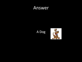 Answer A Dog 