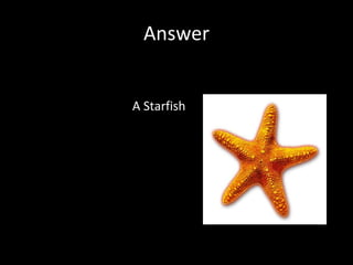 Answer A Starfish 