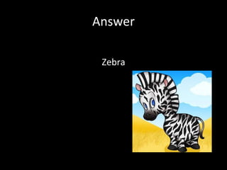 Answer Zebra 