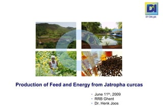 D1 Oils plc




Production of Feed and Energy from Jatropha curcas
                             • June 11th, 2009
                             • RRB Ghent
                             • Dr. Henk Joos
 