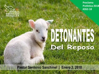 Proclama
Profetica 2018
#262-18
Pastor Serminio Sanchinel | Enero 3, 2018
 