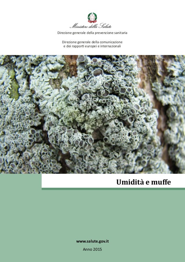 26 2016 umidita e muffe Umidità e salute
