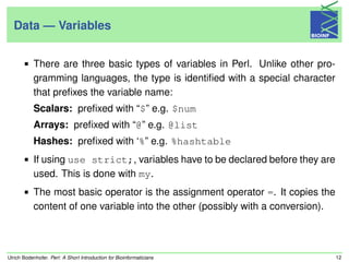 Perrel In Math Perl-Tutorial | PDF