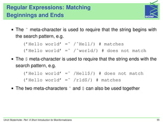 Perl-Tutorial | PDF