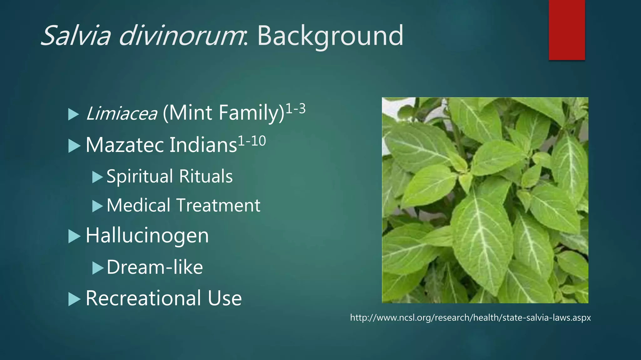 Salvia Divinorum final presentation | PPTX