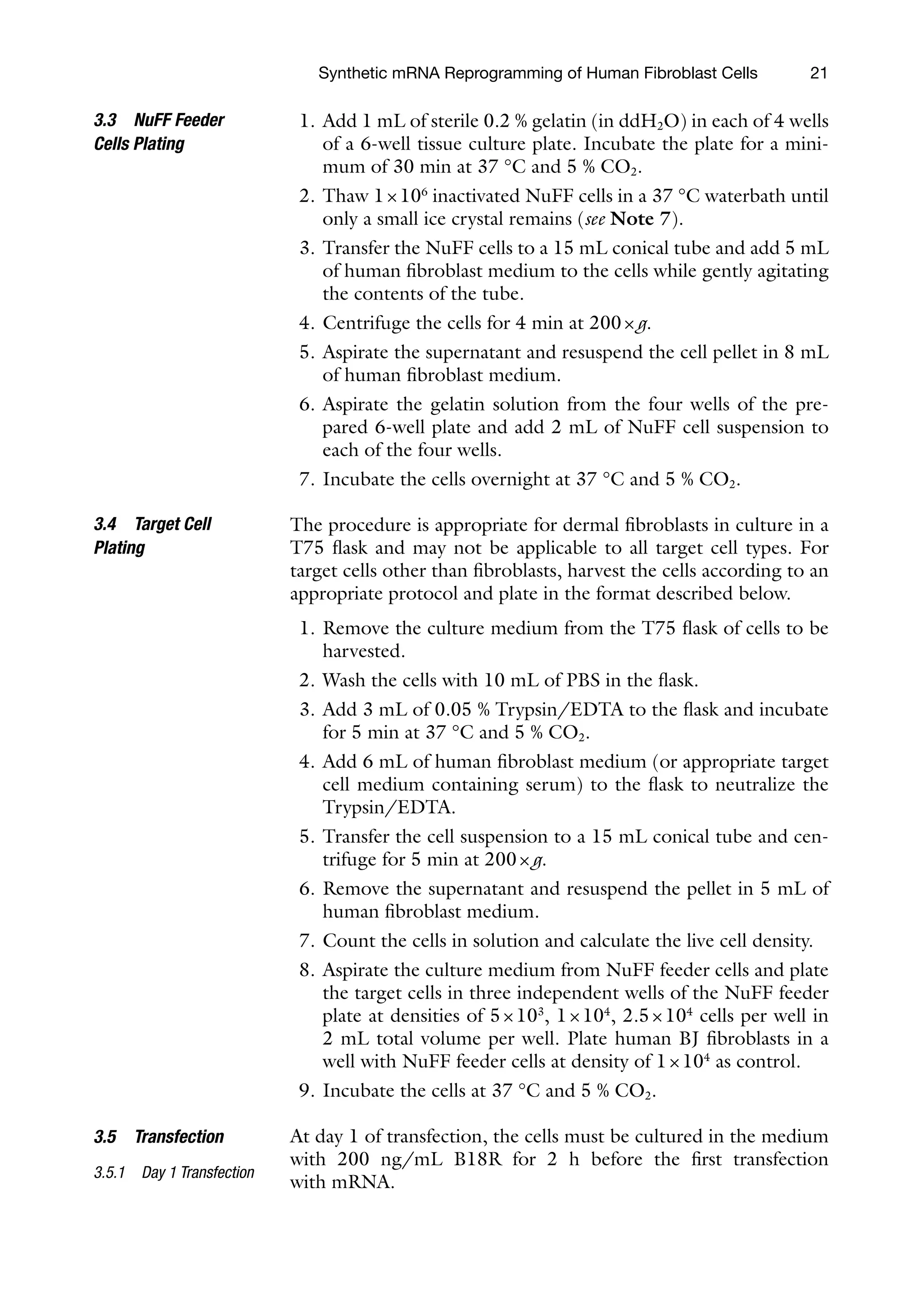 21
1. Add 1 mL of sterile 0.2 % gelatin (in ddH2O) in each of 4 wells
of a 6-well tissue culture plate. Incubate the plate for a mini-
mum of 30 min at 37 °C and 5 % CO2.
2. Thaw 1×106
inactivated NuFF cells in a 37 °C waterbath until
only a small ice crystal remains (see Note 7).
3. Transfer the NuFF cells to a 15 mL conical tube and add 5 mL
of human fibroblast medium to the cells while gently agitating
the contents of the tube.
4. Centrifuge the cells for 4 min at 200×g.
5. Aspirate the supernatant and resuspend the cell pellet in 8 mL
of human fibroblast medium.
6. Aspirate the gelatin solution from the four wells of the pre-
pared 6-well plate and add 2 mL of NuFF cell suspension to
each of the four wells.
7. Incubate the cells overnight at 37 °C and 5 % CO2.
The procedure is appropriate for dermal fibroblasts in culture in a
T75 flask and may not be applicable to all target cell types. For
target cells other than fibroblasts, harvest the cells according to an
appropriate protocol and plate in the format described below.
1. Remove the culture medium from the T75 flask of cells to be
harvested.
2. Wash the cells with 10 mL of PBS in the flask.
3. Add 3 mL of 0.05 % Trypsin/EDTA to the flask and incubate
for 5 min at 37 °C and 5 % CO2.
4. Add 6 mL of human fibroblast medium (or appropriate target
cell medium containing serum) to the flask to neutralize the
Trypsin/EDTA.
5. Transfer the cell suspension to a 15 mL conical tube and cen-
trifuge for 5 min at 200×g.
6. Remove the supernatant and resuspend the pellet in 5 mL of
human fibroblast medium.
7. Count the cells in solution and calculate the live cell density.
8. Aspirate the culture medium from NuFF feeder cells and plate
the target cells in three independent wells of the NuFF feeder
plate at densities of 5×103
, 1×104
, 2.5×104
cells per well in
2 mL total volume per well. Plate human BJ fibroblasts in a
well with NuFF feeder cells at density of 1×104
as control.
9. Incubate the cells at 37 °C and 5 % CO2.
At day 1 of transfection, the cells must be cultured in the medium
with 200 ng/mL B18R for 2 h before the first transfection
with mRNA.
3.3 NuFF Feeder
Cells Plating
3.4 Target Cell
Plating
3.5 Transfection
3.5.1 Day 1 Transfection
Synthetic mRNA Reprogramming of Human Fibroblast Cells
 