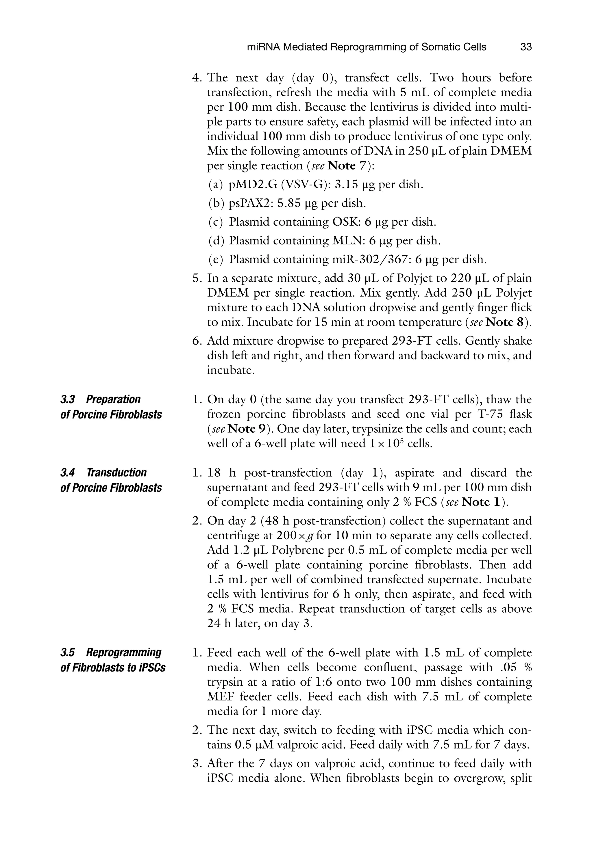 33
4. The next day (day 0), transfect cells. Two hours before
transfection, refresh the media with 5 mL of complete media
per 100 mm dish. Because the lentivirus is divided into multi-
ple parts to ensure safety, each plasmid will be infected into an
individual 100 mm dish to produce lentivirus of one type only.
Mix the following amounts of DNA in 250 μL of plain DMEM
per single reaction (see Note 7):
(a) pMD2.G (VSV-G): 3.15 μg per dish.
(b) psPAX2: 5.85 μg per dish.
(c) Plasmid containing OSK: 6 μg per dish.
(d) Plasmid containing MLN: 6 μg per dish.
(e) Plasmid containing miR-302/367: 6 μg per dish.
5. In a separate mixture, add 30 μL of Polyjet to 220 μL of plain
DMEM per single reaction. Mix gently. Add 250 μL Polyjet
mixture to each DNA solution dropwise and gently finger flick
to mix. Incubate for 15 min at room temperature (see Note 8).
6. Add mixture dropwise to prepared 293-FT cells. Gently shake
dish left and right, and then forward and backward to mix, and
incubate.
1. On day 0 (the same day you transfect 293-FT cells), thaw the
frozen porcine fibroblasts and seed one vial per T-75 flask
(see Note 9). One day later, trypsinize the cells and count; each
well of a 6-well plate will need 1×105
cells.
1. 18 h post-transfection (day 1), aspirate and discard the
supernatant and feed 293-FT cells with 9 mL per 100 mm dish
of complete media containing only 2 % FCS (see Note 1).
2. On day 2 (48 h post-transfection) collect the supernatant and
centrifuge at 200×g for 10 min to separate any cells collected.
Add 1.2 μL Polybrene per 0.5 mL of complete media per well
of a 6-well plate containing porcine fibroblasts. Then add
1.5 mL per well of combined transfected supernate. Incubate
cells with lentivirus for 6 h only, then aspirate, and feed with
2 % FCS media. Repeat transduction of target cells as above
24 h later, on day 3.
1. Feed each well of the 6-well plate with 1.5 mL of complete
media. When cells become confluent, passage with .05 %
trypsin at a ratio of 1:6 onto two 100 mm dishes containing
MEF feeder cells. Feed each dish with 7.5 mL of complete
media for 1 more day.
2. The next day, switch to feeding with iPSC media which con-
tains 0.5 μM valproic acid. Feed daily with 7.5 mL for 7 days.
3. After the 7 days on valproic acid, continue to feed daily with
iPSC media alone. When fibroblasts begin to overgrow, split
3.3 Preparation
of Porcine Fibroblasts
3.4 Transduction
of Porcine Fibroblasts
3.5 Reprogramming
of Fibroblasts to iPSCs
miRNA Mediated Reprogramming of Somatic Cells
 