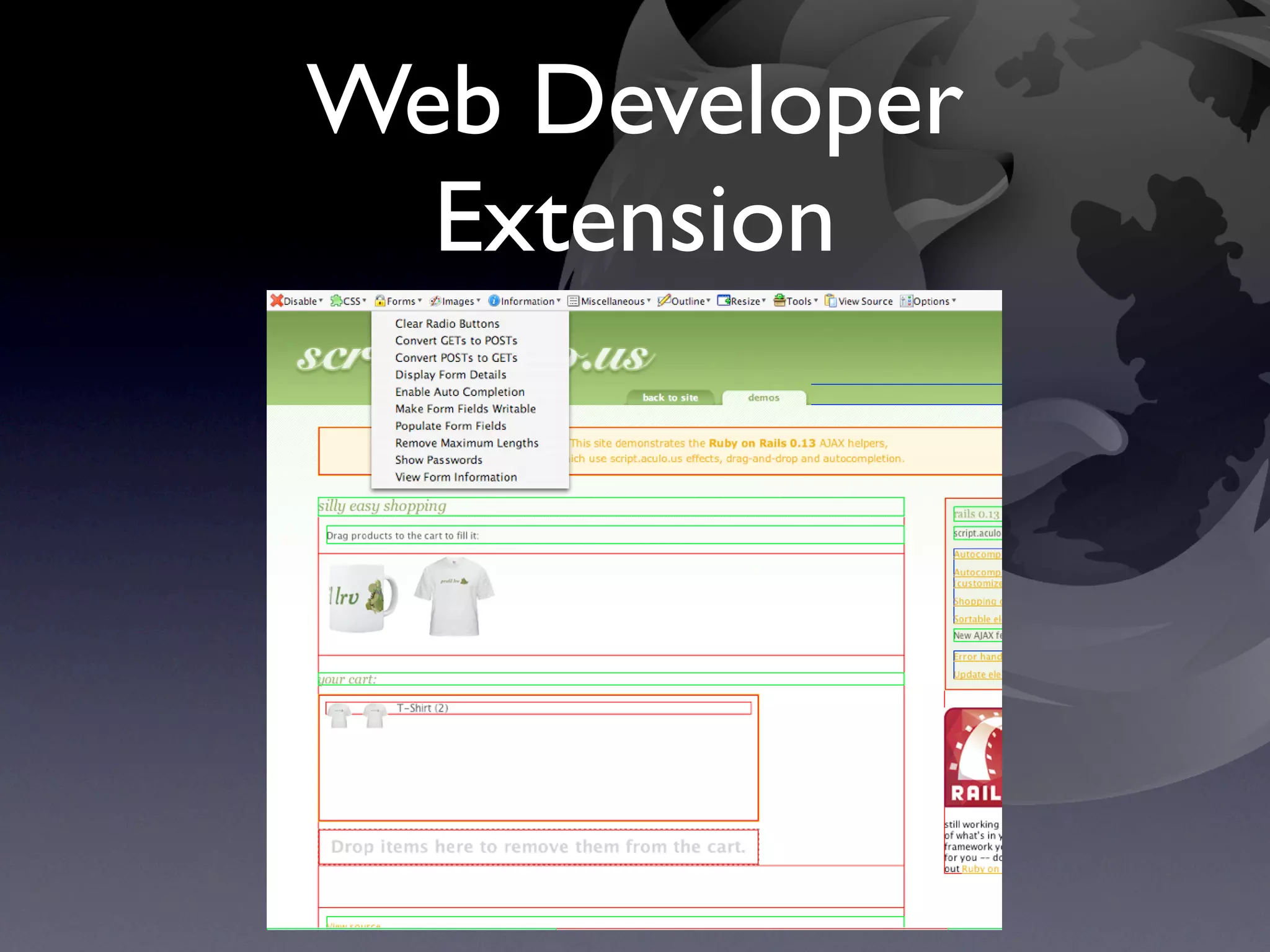 Web Developer
  Extension
 