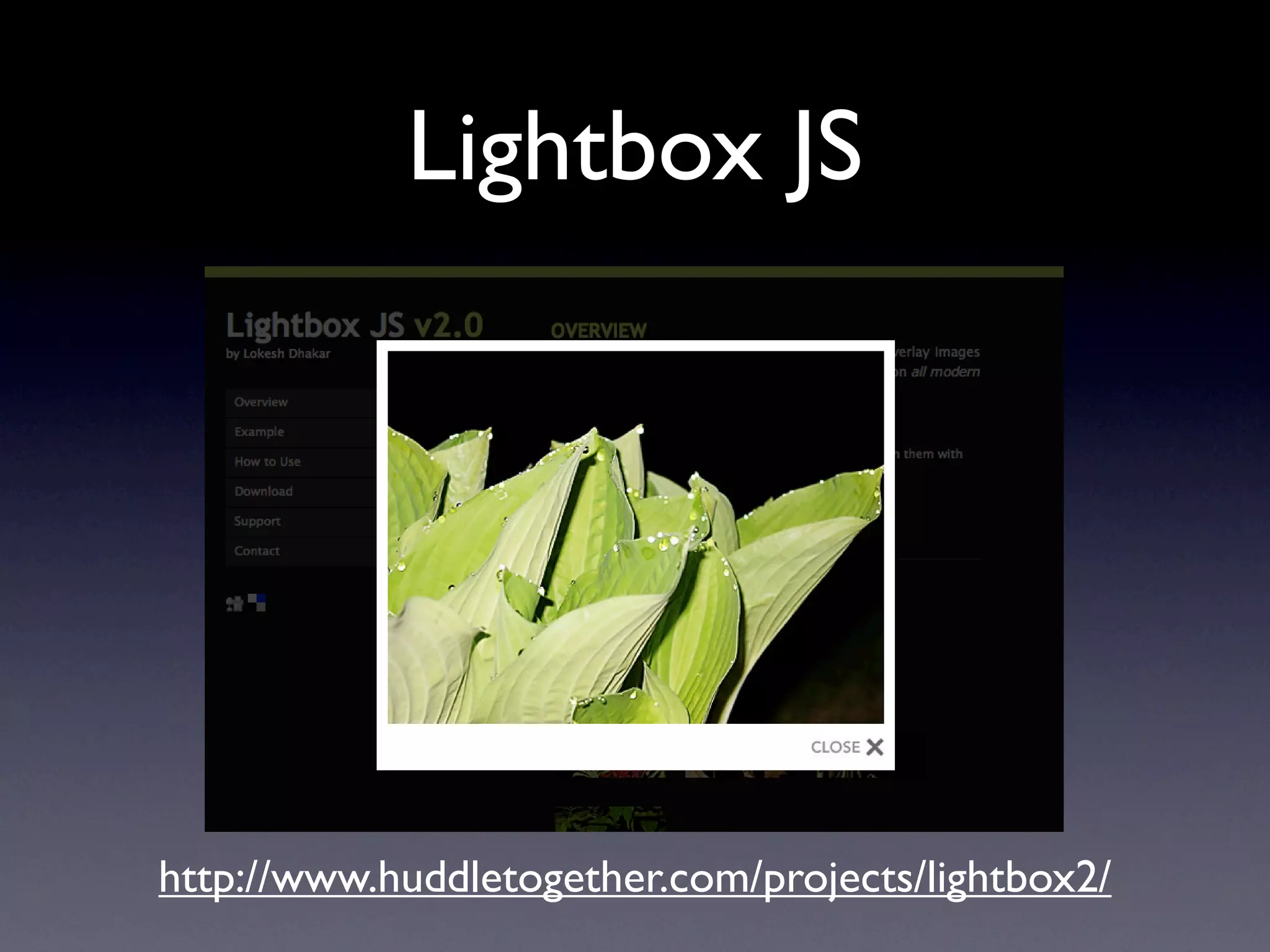 Lightbox JS




http://www.huddletogether.com/projects/lightbox2/
 