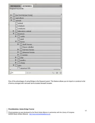 One of the advantages of using Bridge is the Keyword panel. This feature allows you to import or construct a list
of terms arranged with narrower terms located beneath broader.




 

 


PhotoMetaData: Adobe Bridge Tutorial
                                                                                                                17
Photometadata.org was developed by the Stock Artists Alliance in partnership with the Library of Congress
©2009 Stock Artists Alliance. http://www.stockartistsalliance.org
 