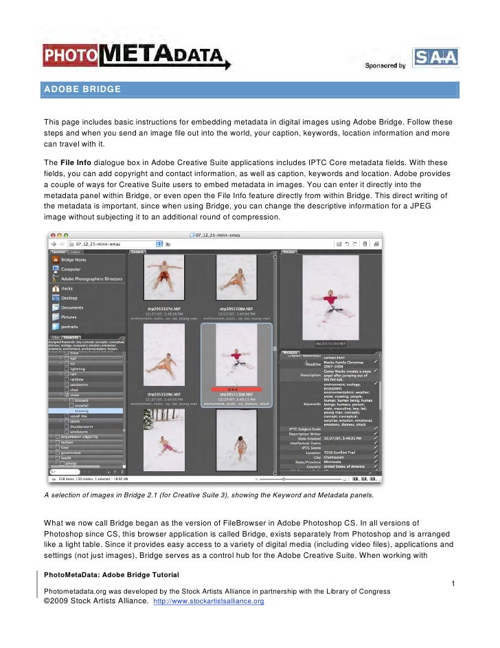 adobe bridge tutorial