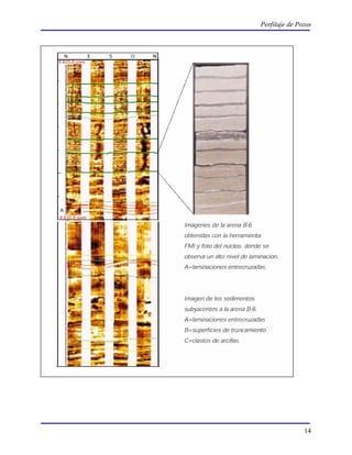 Perfilaje de Pozos




               14
 