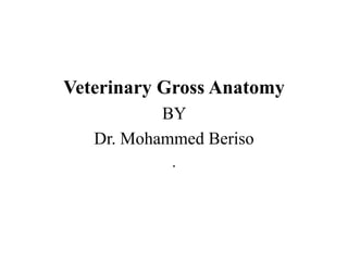 Veterinary Gross Anatomy
BY
Dr. Mohammed Beriso
.
 