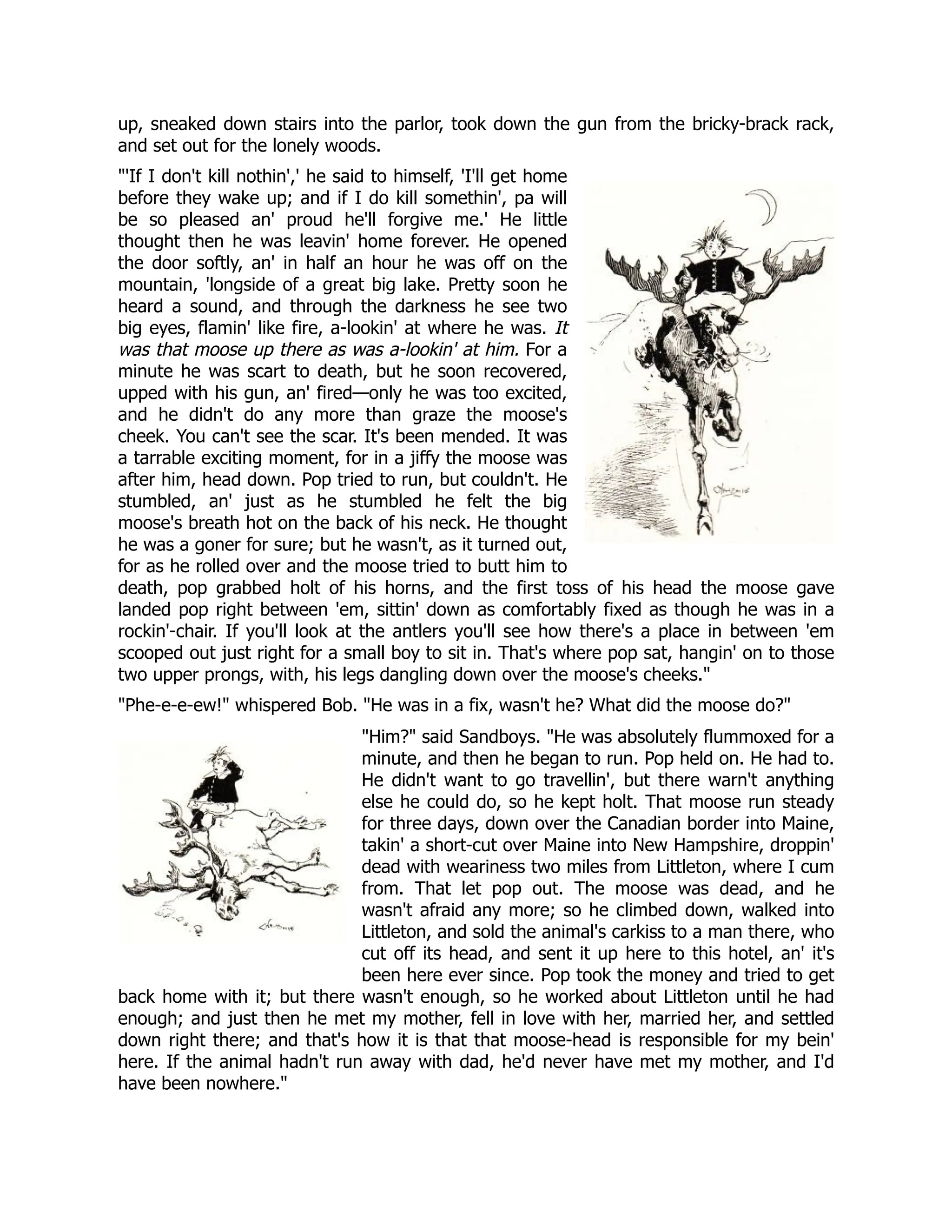 up, sneaked down stairs into the parlor, took down the gun from the bricky-brack rack,
and set out for the lonely woods.
'If I don't kill nothin',' he said to himself, 'I'll get home
before they wake up; and if I do kill somethin', pa will
be so pleased an' proud he'll forgive me.' He little
thought then he was leavin' home forever. He opened
the door softly, an' in half an hour he was off on the
mountain, 'longside of a great big lake. Pretty soon he
heard a sound, and through the darkness he see two
big eyes, flamin' like fire, a-lookin' at where he was. It
was that moose up there as was a-lookin' at him. For a
minute he was scart to death, but he soon recovered,
upped with his gun, an' fired—only he was too excited,
and he didn't do any more than graze the moose's
cheek. You can't see the scar. It's been mended. It was
a tarrable exciting moment, for in a jiffy the moose was
after him, head down. Pop tried to run, but couldn't. He
stumbled, an' just as he stumbled he felt the big
moose's breath hot on the back of his neck. He thought
he was a goner for sure; but he wasn't, as it turned out,
for as he rolled over and the moose tried to butt him to
death, pop grabbed holt of his horns, and the first toss of his head the moose gave
landed pop right between 'em, sittin' down as comfortably fixed as though he was in a
rockin'-chair. If you'll look at the antlers you'll see how there's a place in between 'em
scooped out just right for a small boy to sit in. That's where pop sat, hangin' on to those
two upper prongs, with, his legs dangling down over the moose's cheeks.
Phe-e-e-ew! whispered Bob. He was in a fix, wasn't he? What did the moose do?
Him? said Sandboys. He was absolutely flummoxed for a
minute, and then he began to run. Pop held on. He had to.
He didn't want to go travellin', but there warn't anything
else he could do, so he kept holt. That moose run steady
for three days, down over the Canadian border into Maine,
takin' a short-cut over Maine into New Hampshire, droppin'
dead with weariness two miles from Littleton, where I cum
from. That let pop out. The moose was dead, and he
wasn't afraid any more; so he climbed down, walked into
Littleton, and sold the animal's carkiss to a man there, who
cut off its head, and sent it up here to this hotel, an' it's
been here ever since. Pop took the money and tried to get
back home with it; but there wasn't enough, so he worked about Littleton until he had
enough; and just then he met my mother, fell in love with her, married her, and settled
down right there; and that's how it is that that moose-head is responsible for my bein'
here. If the animal hadn't run away with dad, he'd never have met my mother, and I'd
have been nowhere.
 
