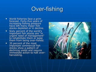 Over-fishing  World fisheries face a grim forecast. Forty-five years of increasing fishing pressure have left many major fish stocks depleted or in decline.  Sixty percent of the world's important fish stocks are "in urgent need of management" to rehabilitate them or keep them from being over-fished.   35 percent of the most important commercial fish stocks show a pattern of declining yields and require immediate action to halt over-harvesting.  