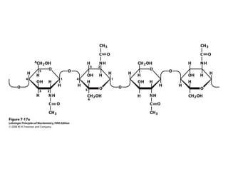 structure and function of carbohydrates .ppt
