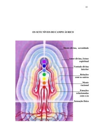 10 
OS SETE NÍVEIS DO CAMPO ÁURICO 
___Mente divina, serenidade 
______Amor divino, êxtase 
espiritual 
____________Vontade divina interior 
__________________Relações 
com os outros 
_______________________Mente 
racional 
____________________Emoções 
relacionadas 
com o eu 
_______________________Sensação física 
 