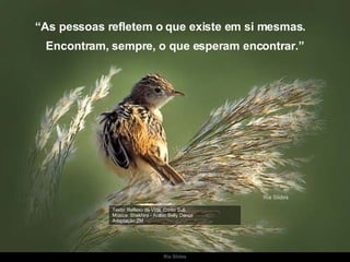 Texto: Reflexo da Vida, Conto Sufi Música: Shakhira - Arabic Belly Dance Adaptação:ZM “ As pessoas refletem o que existe em si mesmas.  Encontram, sempre, o que esperam encontrar.” 