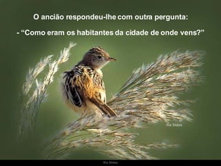 O ancião respondeu-lhe com outra pergunta: - “Como eram os habitantes da cidade de onde vens?” 