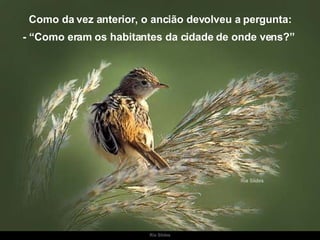 Como da vez anterior, o ancião devolveu a pergunta: - “Como eram os habitantes da cidade de onde vens?”  