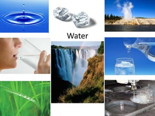 Water
 