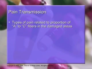 Copyright © 2002, 1998, Elsevier Science (USA). All rights reserved.
Pain TransmissionPain Transmission
• Types of pain related to proportion ofTypes of pain related to proportion of
“A” to “C” fibers in the damaged areas“A” to “C” fibers in the damaged areas
 