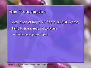 Copyright © 2002, 1998, Elsevier Science (USA). All rights reserved.
Pain TransmissionPain Transmission
• Activation of large “A” fibers CLOSES gateActivation of large “A” fibers CLOSES gate
• Inhibits transmission to brainInhibits transmission to brain
– Limits perception of painLimits perception of pain
 