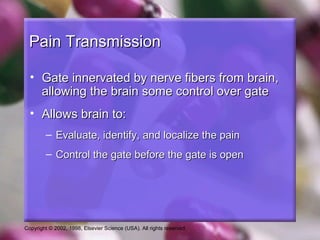 Copyright © 2002, 1998, Elsevier Science (USA). All rights reserved.
Pain TransmissionPain Transmission
• Gate innervated by nerve fibers from brain,Gate innervated by nerve fibers from brain,
allowing the brain some control over gateallowing the brain some control over gate
• Allows brain to:Allows brain to:
– Evaluate, identify, and localize the painEvaluate, identify, and localize the pain
– Control the gate before the gate is openControl the gate before the gate is open
 