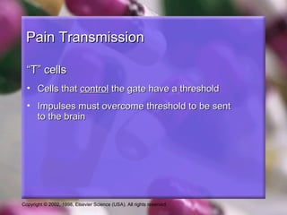 Copyright © 2002, 1998, Elsevier Science (USA). All rights reserved.
Pain TransmissionPain Transmission
““T” cellsT” cells
• Cells thatCells that controlcontrol the gate have a thresholdthe gate have a threshold
• Impulses must overcome threshold to be sentImpulses must overcome threshold to be sent
to the brainto the brain
 