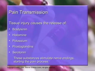 Copyright © 2002, 1998, Elsevier Science (USA). All rights reserved.
Pain TransmissionPain Transmission
Tissue injury causes the release of:Tissue injury causes the release of:
• BradykininBradykinin
• HistamineHistamine
• PotassiumPotassium
• ProstaglandinsProstaglandins
• SerotoninSerotonin
These substances stimulate nerve endings,These substances stimulate nerve endings,
starting the pain process.starting the pain process.
 