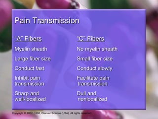 Copyright © 2002, 1998, Elsevier Science (USA). All rights reserved.
Pain TransmissionPain Transmission
““A” FibersA” Fibers “C” Fibers“C” Fibers
Myelin sheathMyelin sheath No myelin sheathNo myelin sheath
Large fiber sizeLarge fiber size Small fiber sizeSmall fiber size
Conduct fastConduct fast Conduct slowlyConduct slowly
Inhibit painInhibit pain Facilitate painFacilitate pain
transmissiontransmission transmissiontransmission
Sharp andSharp and Dull andDull and
well-localizedwell-localized nonlocalizednonlocalized
 