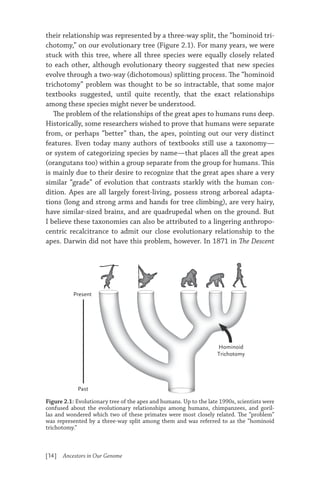Harris Evolution Ancestors In Our Genome The New Science Of Human Evolution Harris | PDF