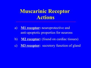 Muscarinic Receptor  Actions a)  M1 receptor :  neuroprotective and anti-apoptotic properties for neurons b)  M2 receptor :  (found on cardiac tissues) c) M3 receptor :   secretory function of gland 