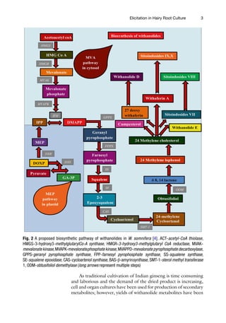 Biotechnology Of Plant Secondary Metabolism Methods And Protocols ...