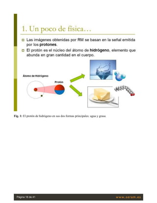 Fig. 1: El protón de hidrógeno en sus dos formas principales: agua y grasa.
Página 18 de 41
 