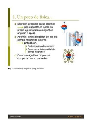 Fig. 2: Movimientos del protón: spín y precesión.
Página 19 de 41
 