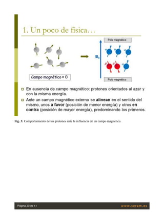 Fig. 3: Comportamiento de los protones ante la influencia de un campo magnético.
Página 20 de 41
 