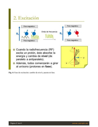 Fig. 4: Fase de excitación: cambio de nivel y puesta en fase.
Página 21 de 41
 