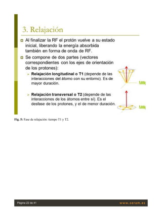 Fig. 5: Fase de relajación: tiempo T1 y T2.
Página 22 de 41
 